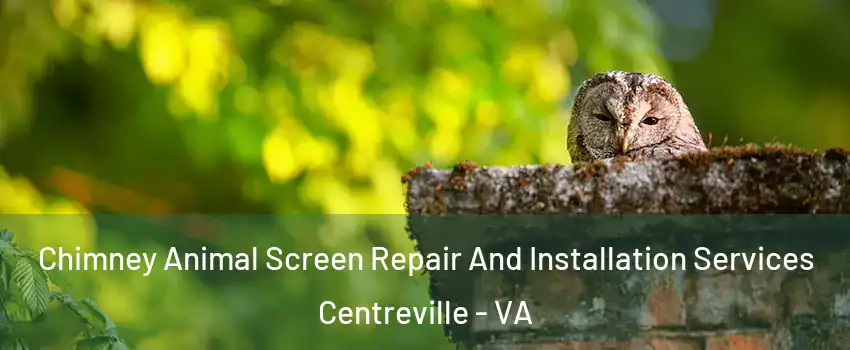  Chimney Animal Screen Repair And Installation Services Centreville - VA