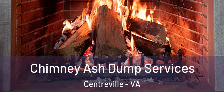  Chimney Ash Dump Services Centreville - VA