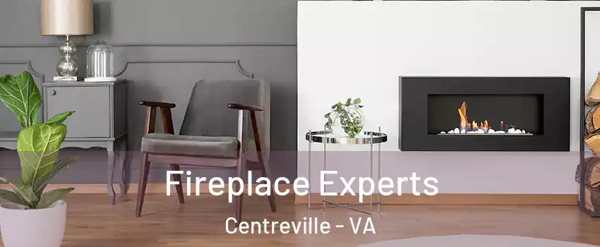  Fireplace Experts Centreville - VA