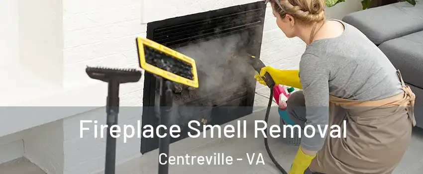  Fireplace Smell Removal Centreville - VA