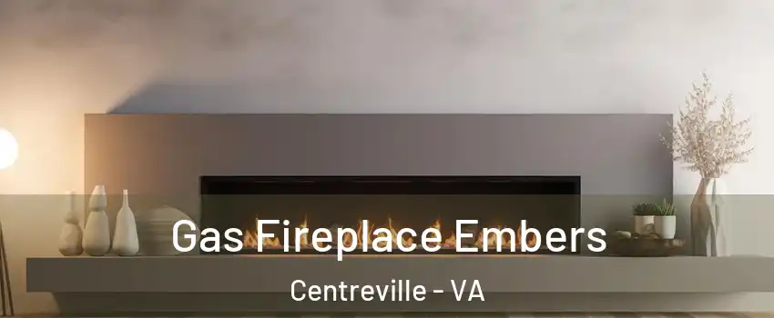  Gas Fireplace Embers Centreville - VA
