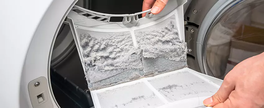 Best Dryer Lint Removal Company in Centreville, Virginia