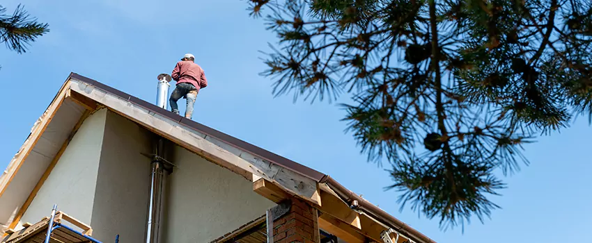 Birds Removal Contractors from Chimney in Centreville, VA