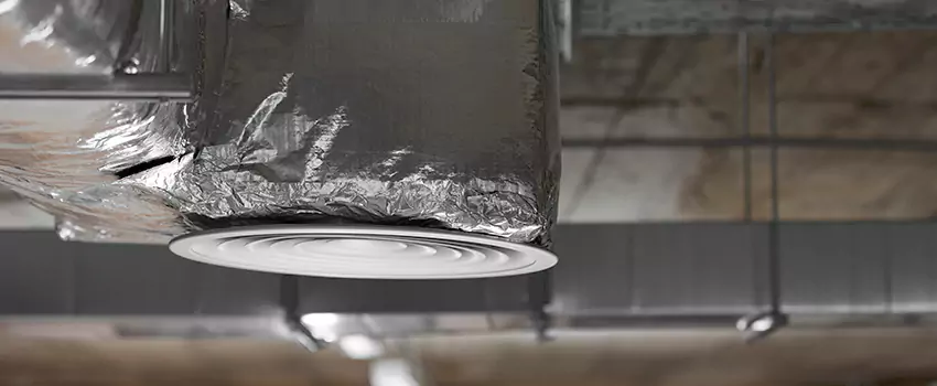Signs of Dust Accumulation in Vents in Centreville, VA
