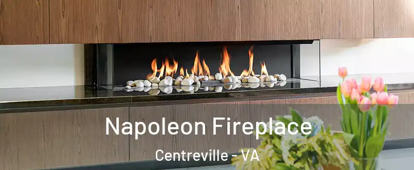  Napoleon Fireplace Centreville - VA