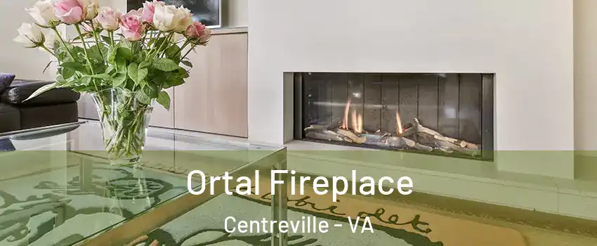  Ortal Fireplace Centreville - VA